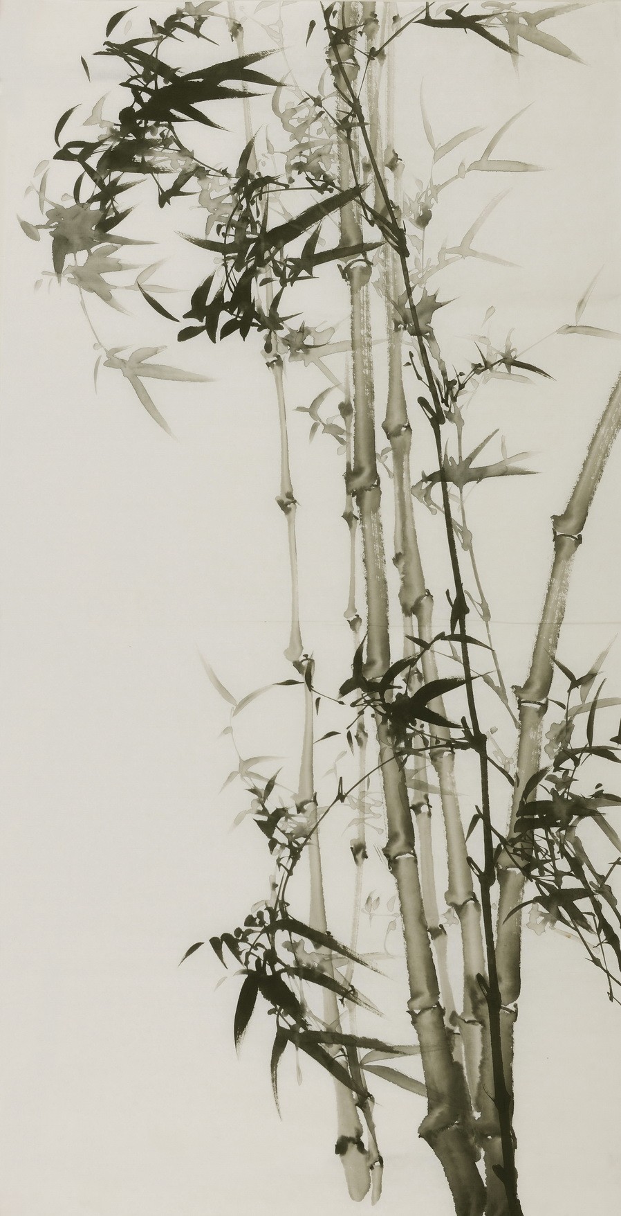 Ink Bamboo - CNAG000636