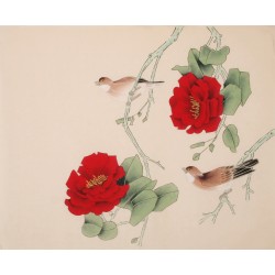 Other Birds - CNAG006359