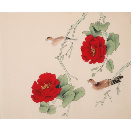 Other Birds - CNAG006359
