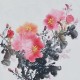 Peony - CNAG006360