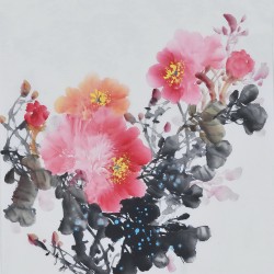 Peony - CNAG006360