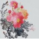Peony - CNAG006361