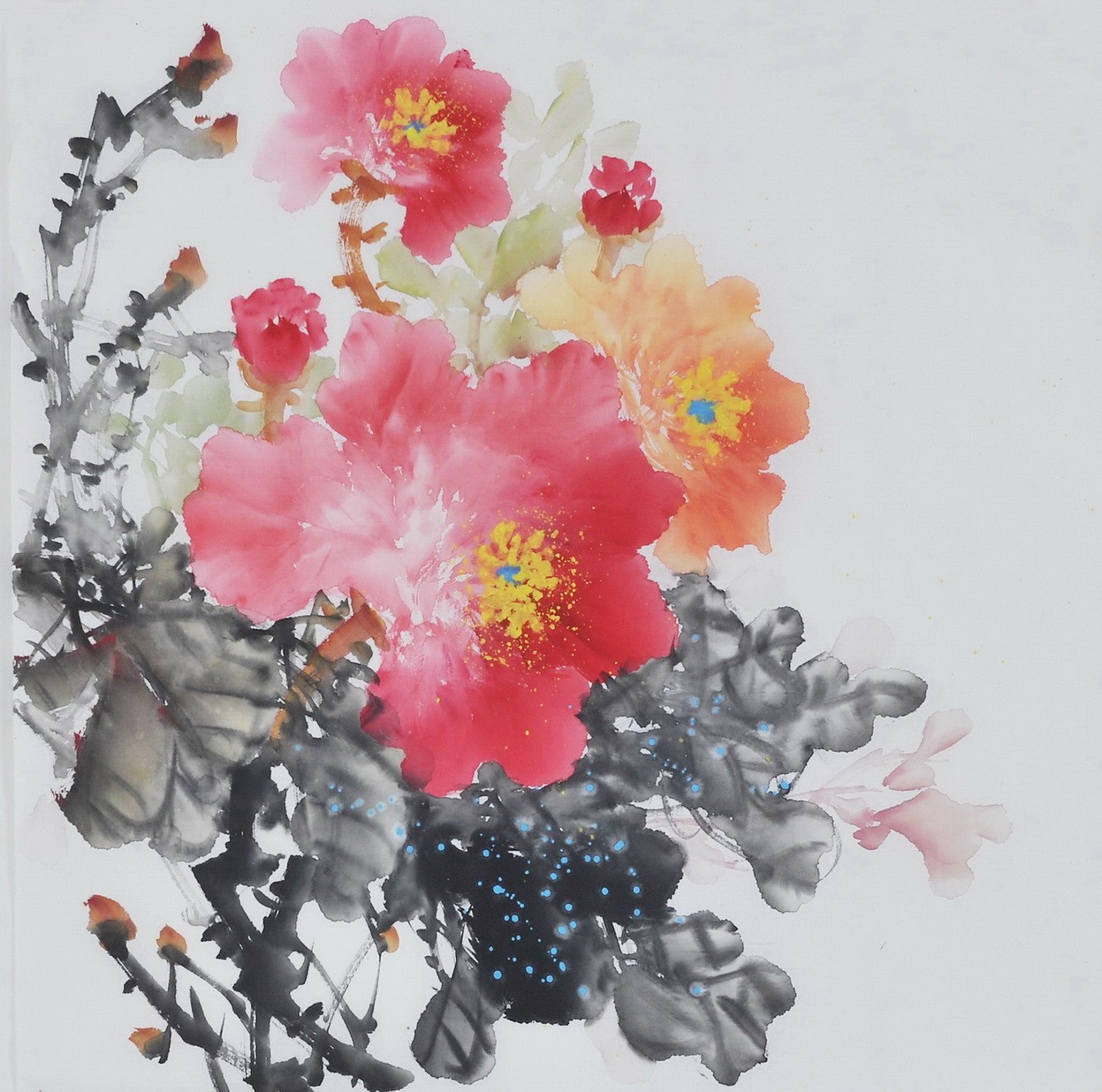 Peony - CNAG006361