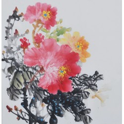 Peony - CNAG006362