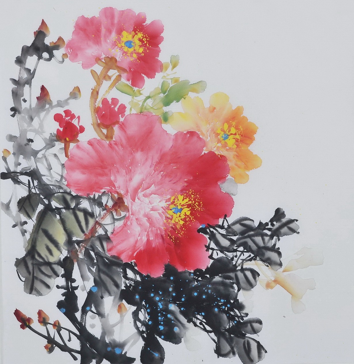 Peony - CNAG006362