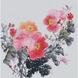 Peony - CNAG006363