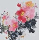 Peony - CNAG006364