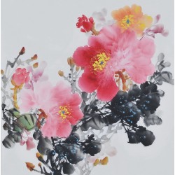 Peony - CNAG006364