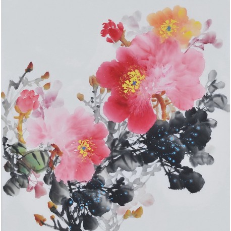 Peony - CNAG006364