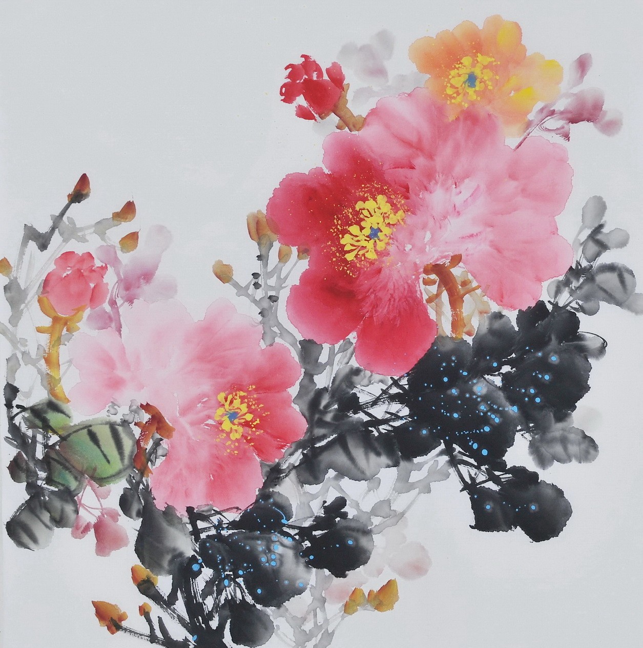 Peony - CNAG006364