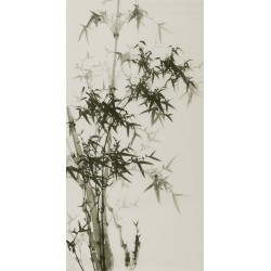 Ink Bamboo - CNAG000637