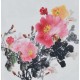 Peony - CNAG006367