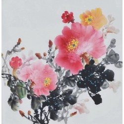 Peony - CNAG006367