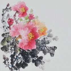 Peony - CNAG006368