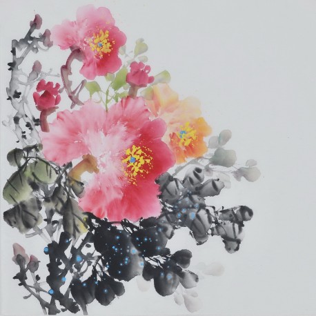 Peony - CNAG006368