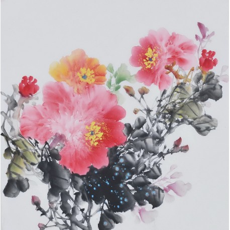 Peony - CNAG006370