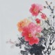 Peony - CNAG006371