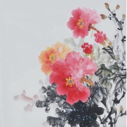 Peony - CNAG006371