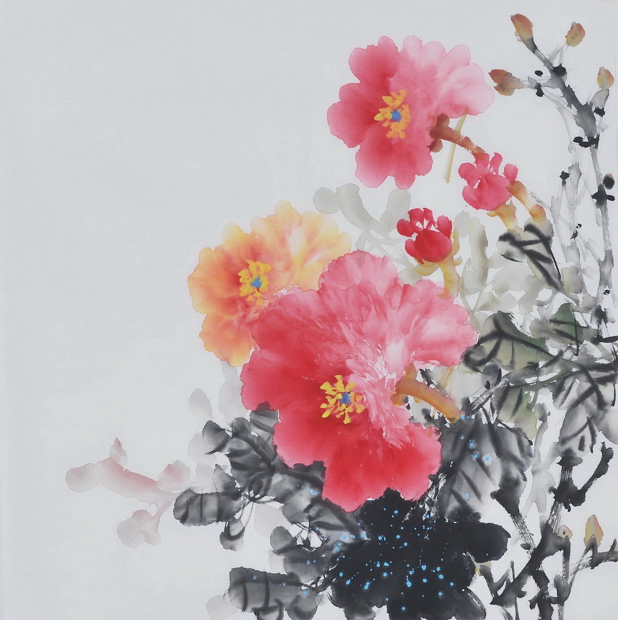 Peony - CNAG006371