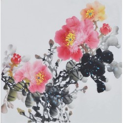 Peony - CNAG006373