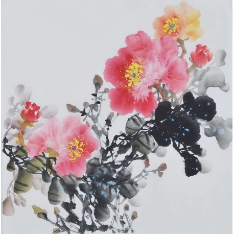 Peony - CNAG006373