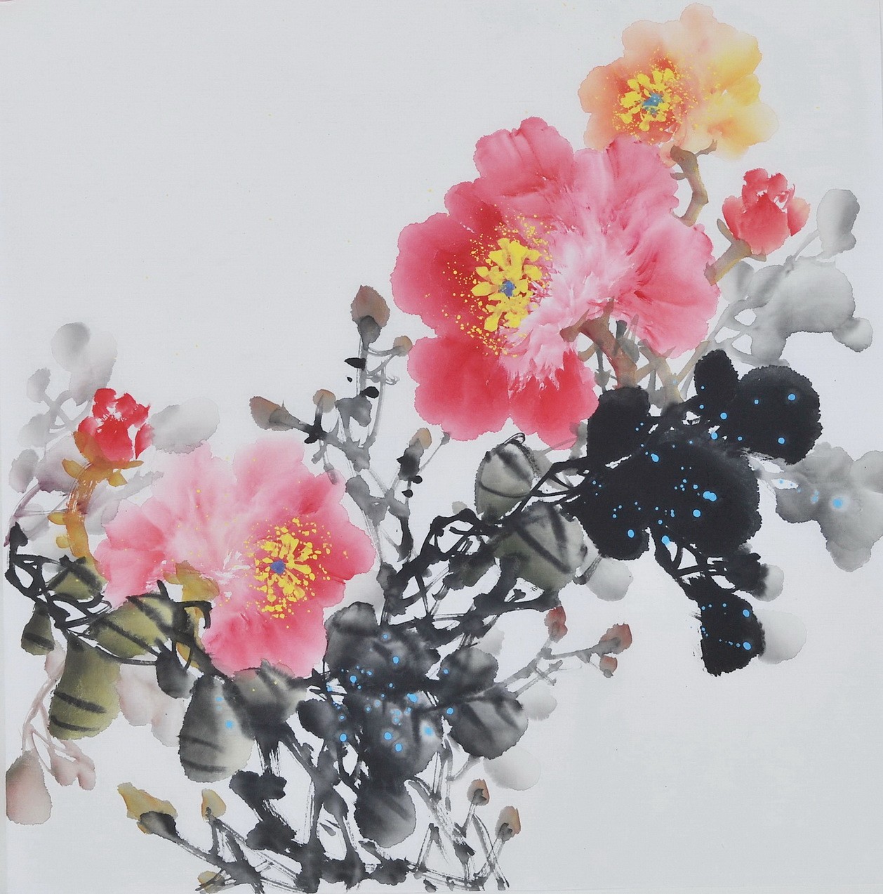 Peony - CNAG006373