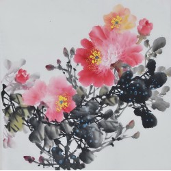 Peony - CNAG006375