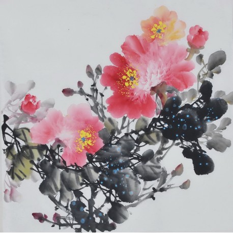 Peony - CNAG006375