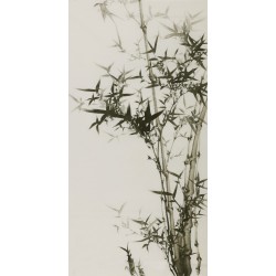 Ink Bamboo - CNAG000638