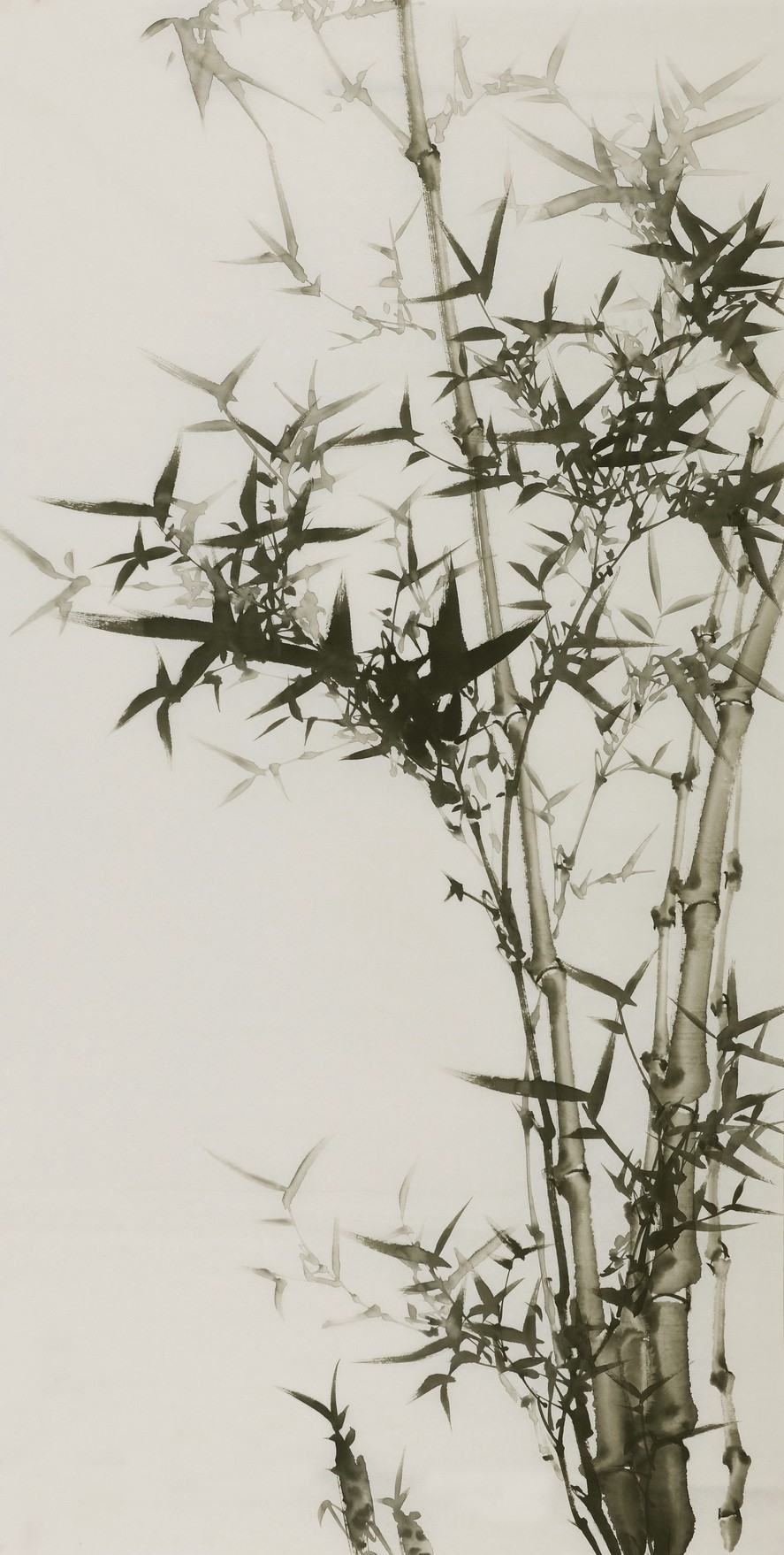 Ink Bamboo - CNAG000638