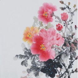 Peony - CNAG006376