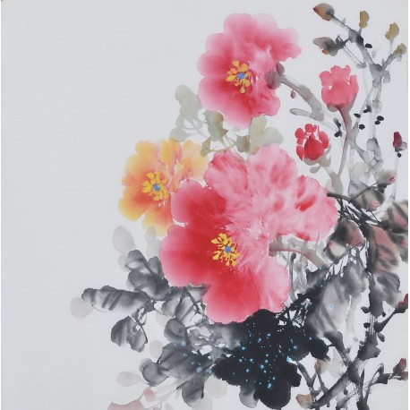 Peony - CNAG006376
