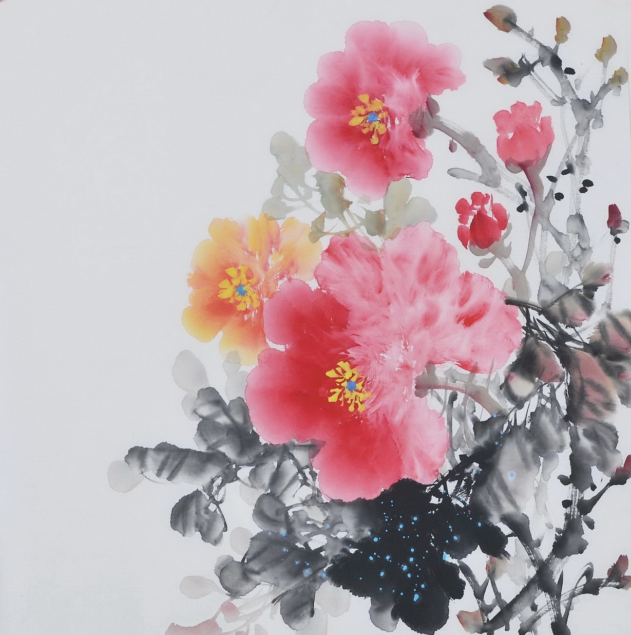 Peony - CNAG006376