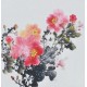 Peony - CNAG006379