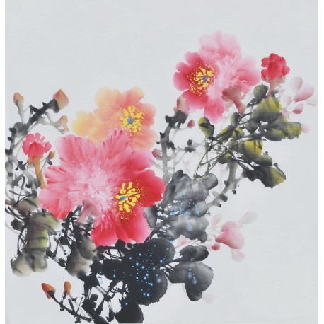 Peony - CNAG006379