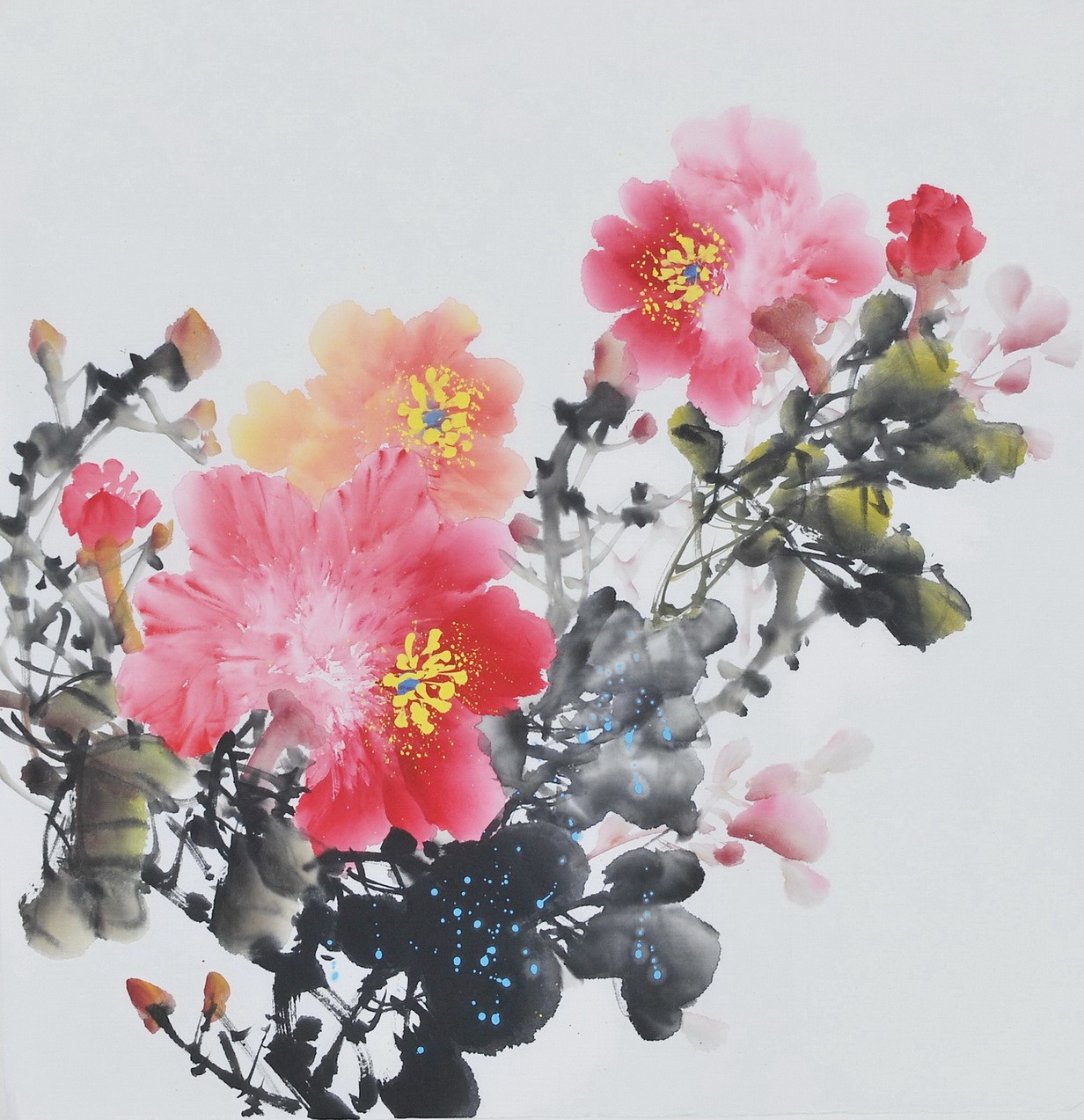Peony - CNAG006379