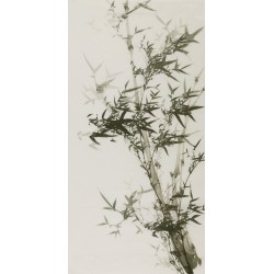 Ink Bamboo - CNAG000639