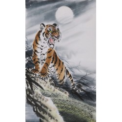 Tiger - CNAG000064