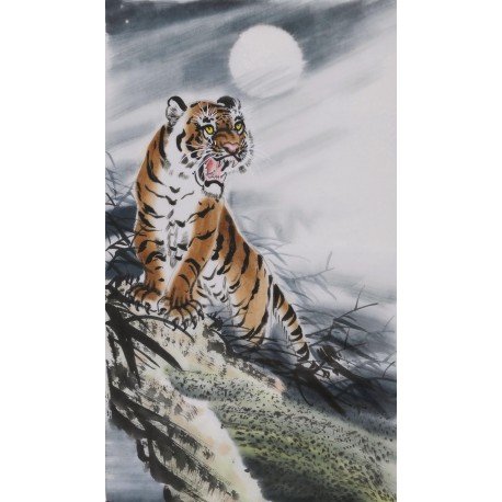 Tiger - CNAG000064
