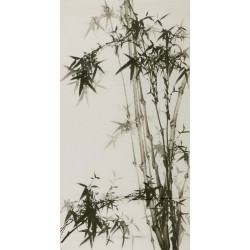 Ink Bamboo - CNAG000640