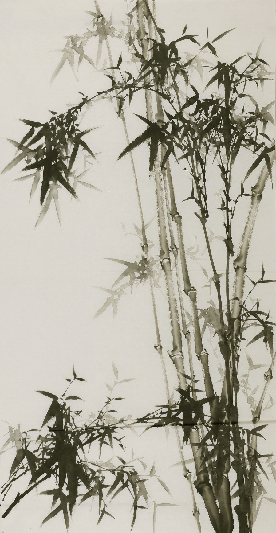 Ink Bamboo - CNAG000640