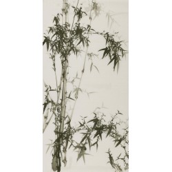 Ink Bamboo - CNAG000641