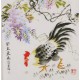 Chicken - CNAG006407