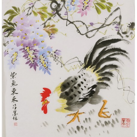 Chicken - CNAG006407