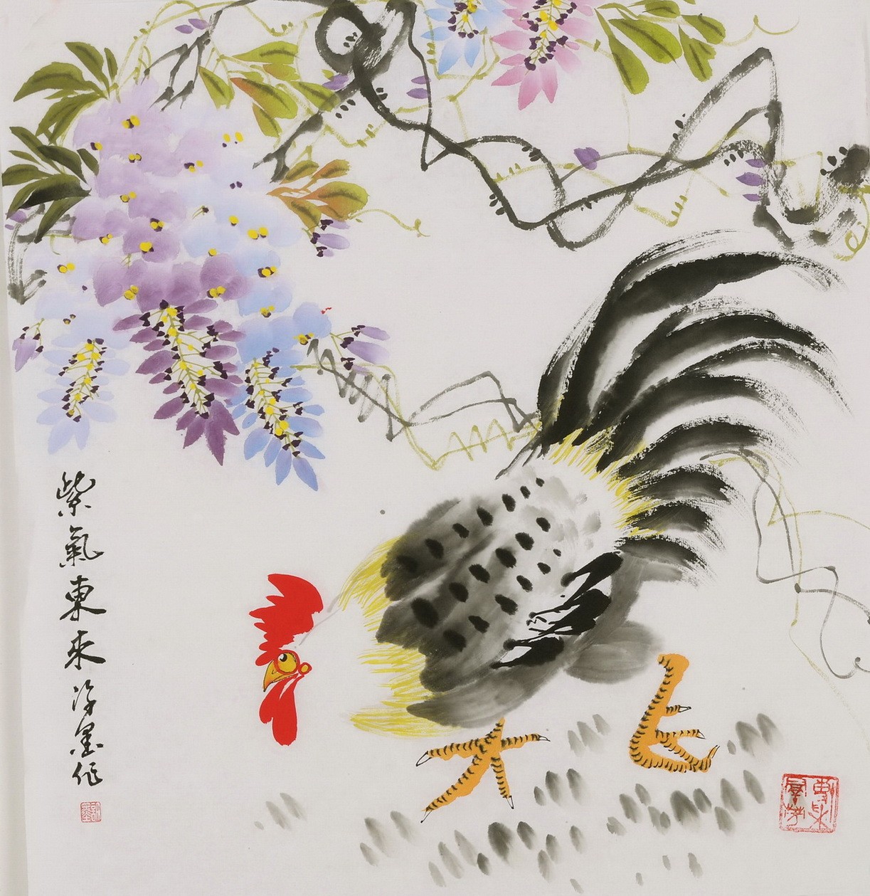 Chicken - CNAG006407