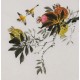 Other Birds - CNAG006410