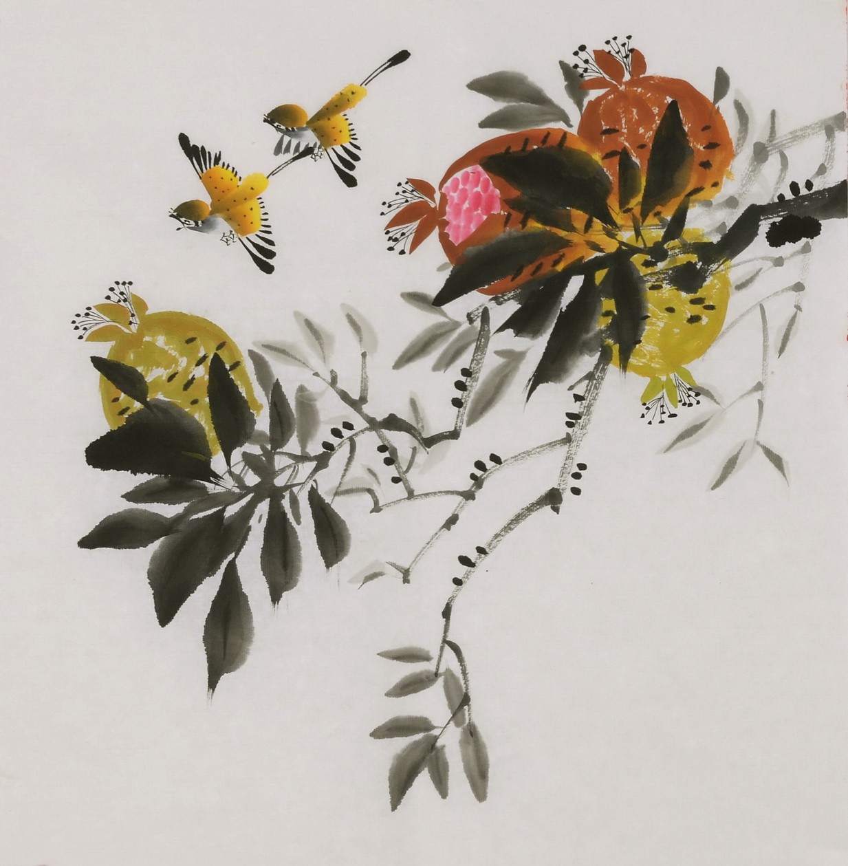 Other Birds - CNAG006410