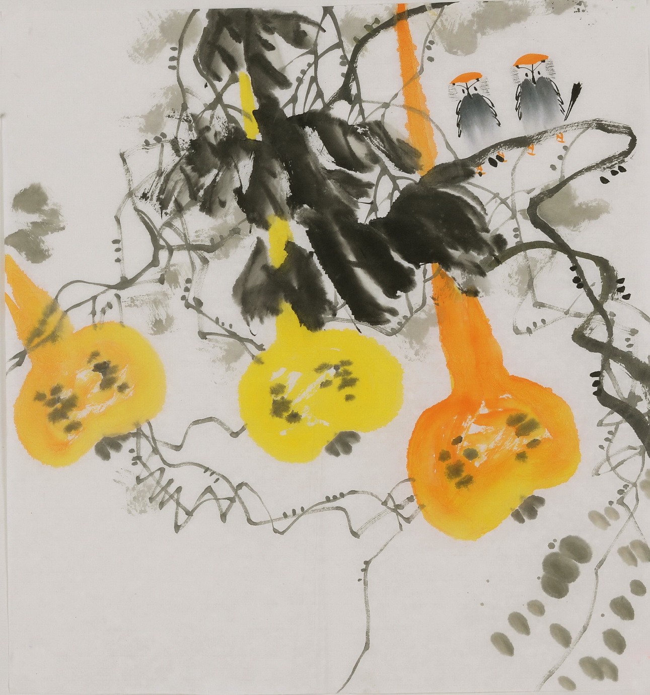 Gourd - CNAG006413