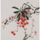 Other Birds - CNAG006415