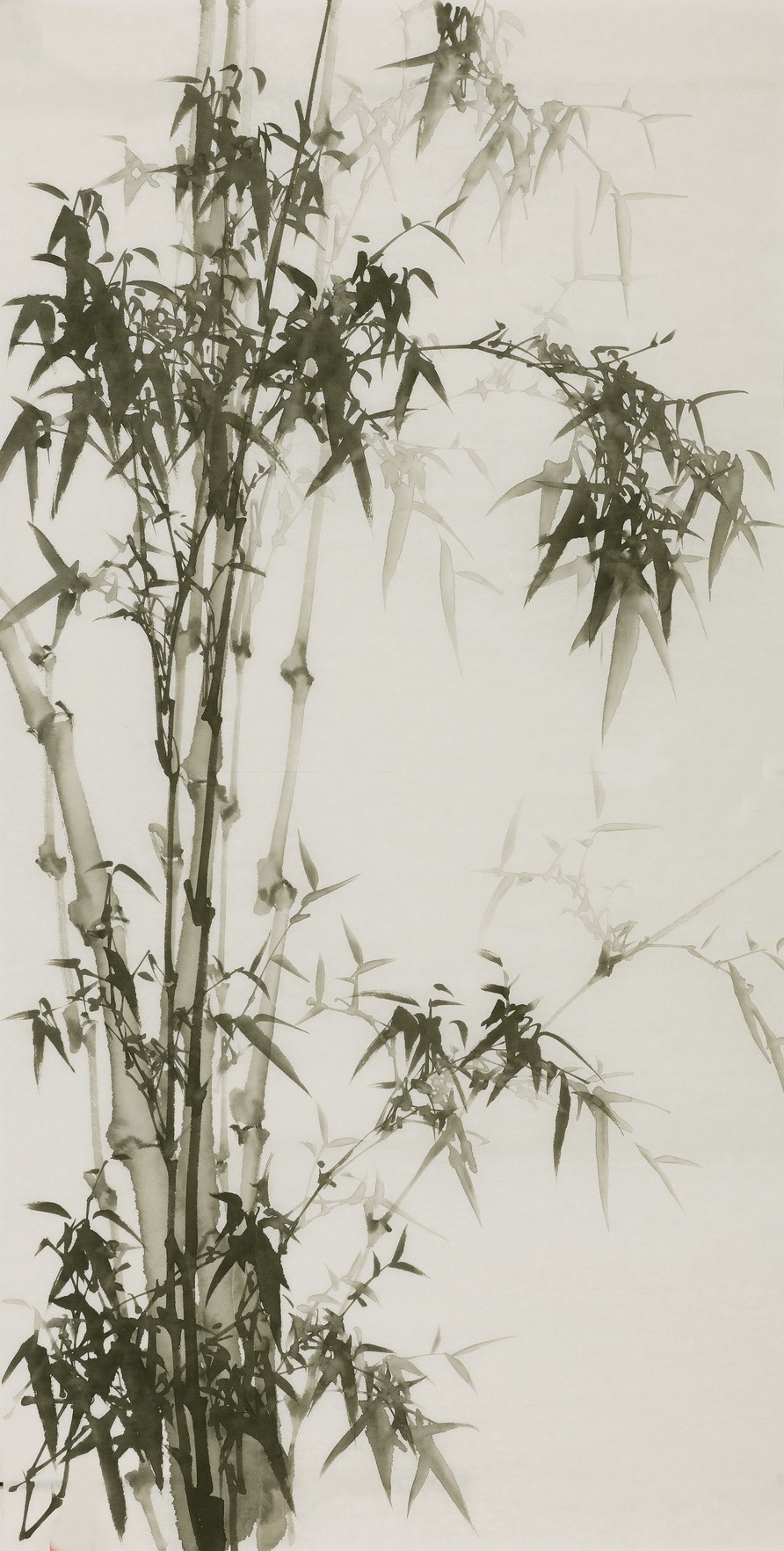 Ink Bamboo - CNAG000642